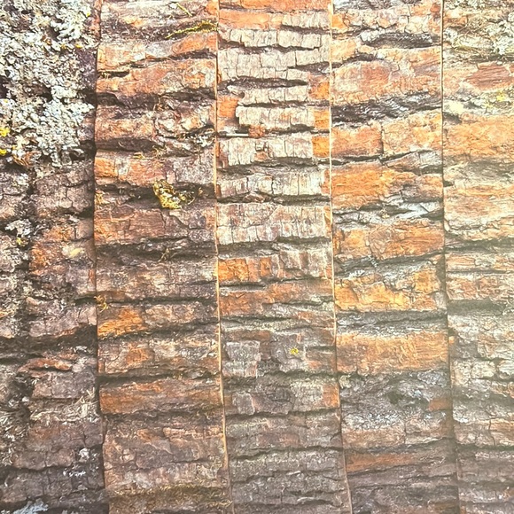 Scrapbook Paper! Wood Backgrounds & Textures! 12x12” - Picture 16 of 17